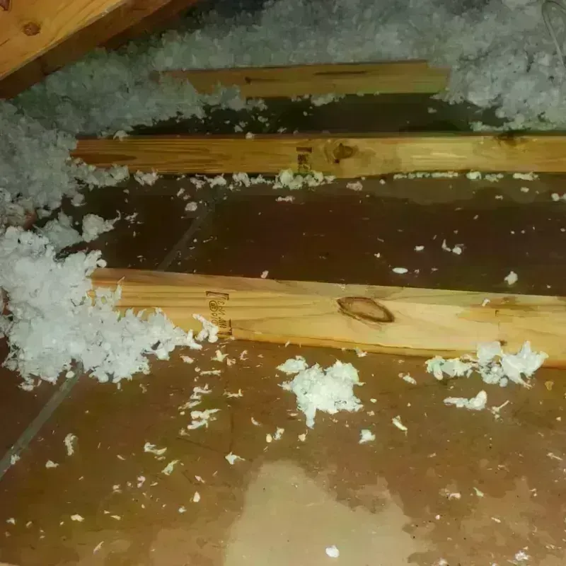 Attic Water Damage in De Queen, AR